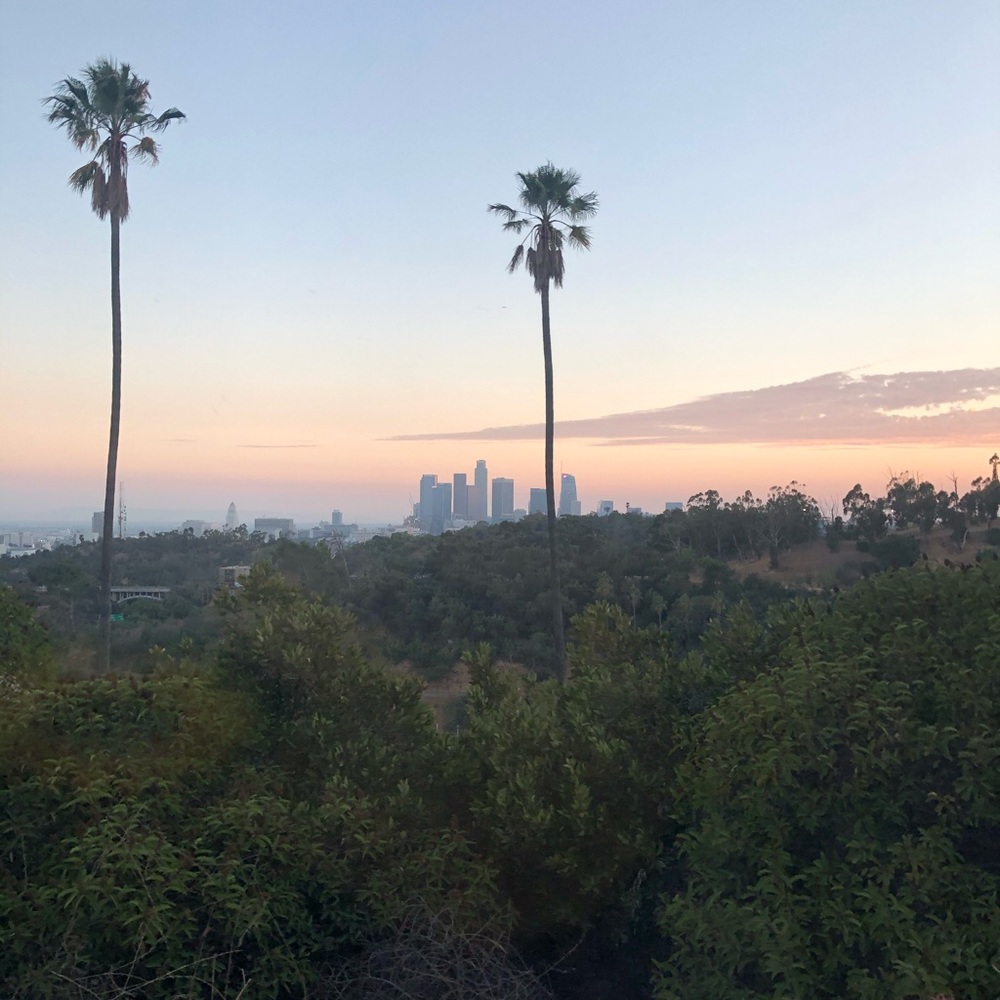 Meet your Posher, Jetzel